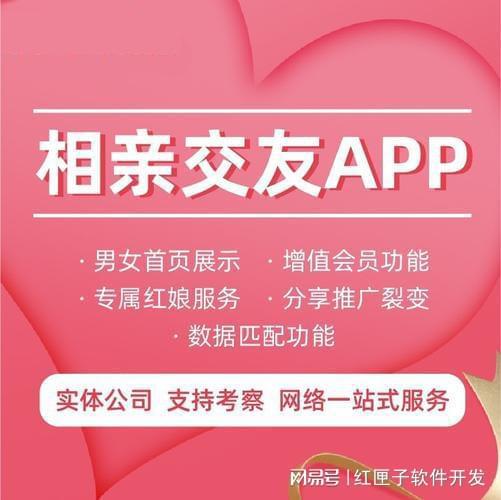 婚恋相交APP开垦-婚恋相交平台计划定制公司bd半岛体育(图1)